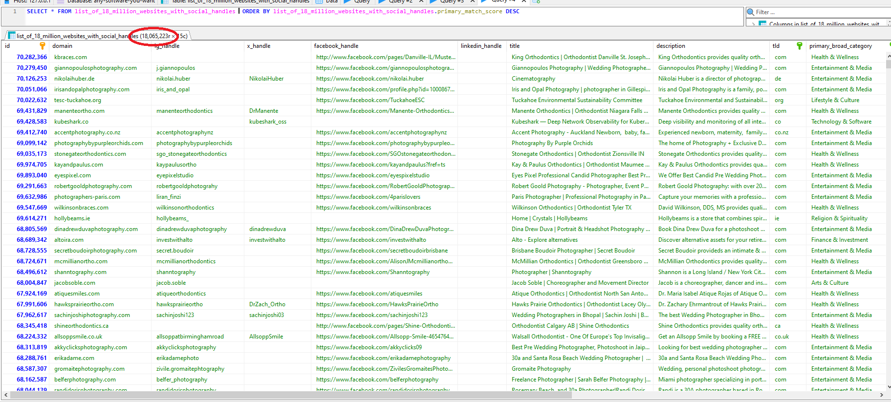 MySQL table of 18 million websites with social handles